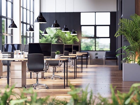 empty office with desks, chairs, computers and plants